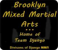 Brooklyn Mixed Martial Arts - Mixed Martial Arts Gym, New York